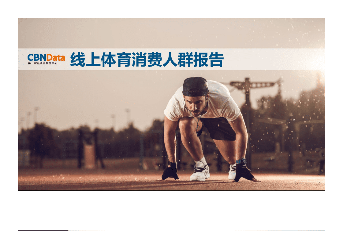 2015年线上体育消费人群报告.pdf 第1页