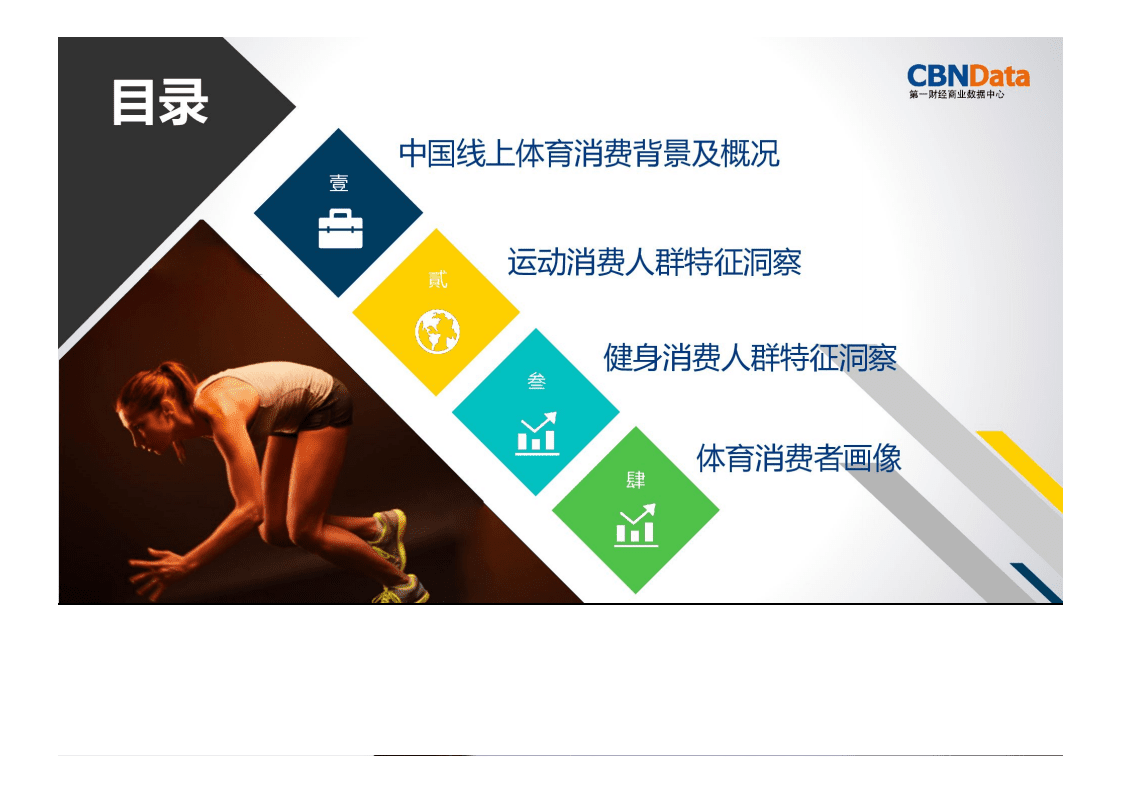 2015年线上体育消费人群报告.pdf 第2页