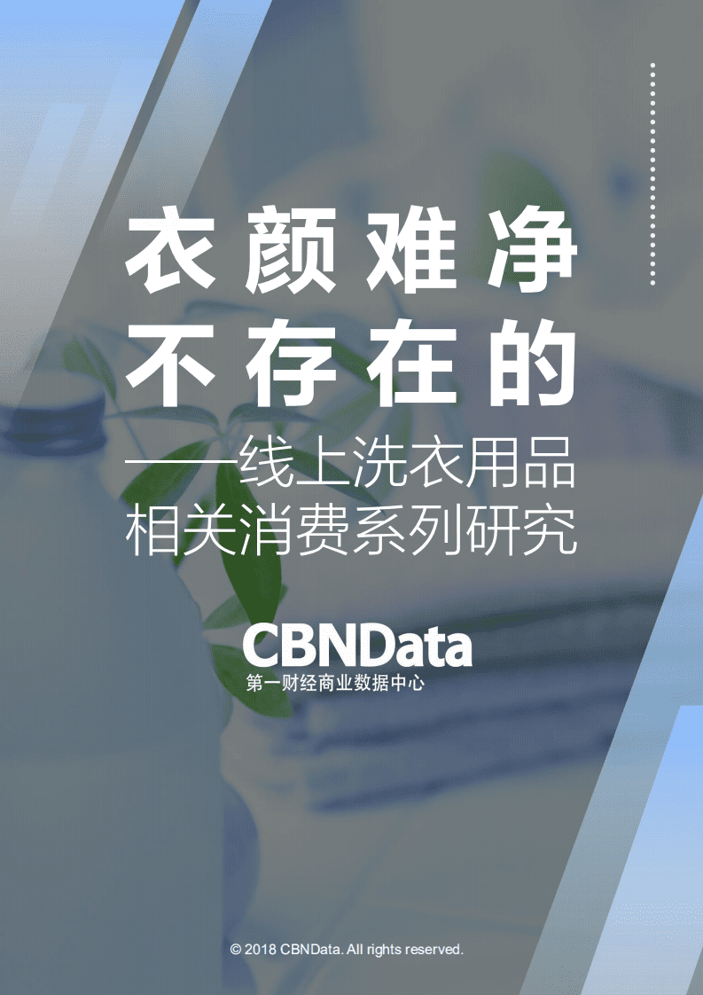 2018年衣颜难净不存在的：线上洗衣用品相关消费系列研究.pdf 第1页