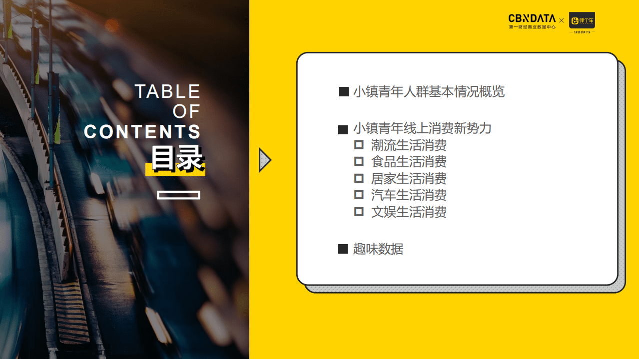 2019年小镇青年线上消费洞察报告.pdf 第2页