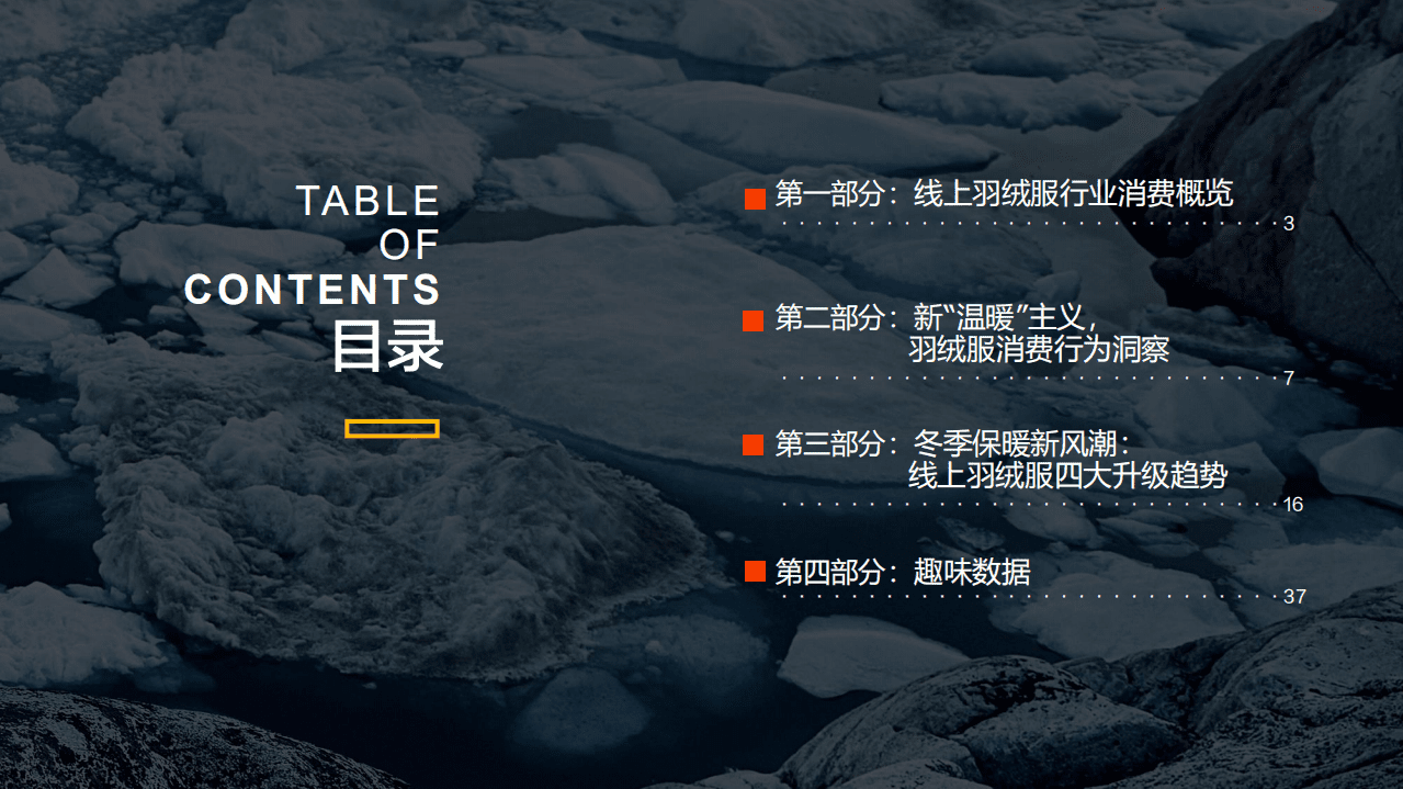 2019年线上羽绒服消费洞察报告.pdf 第2页