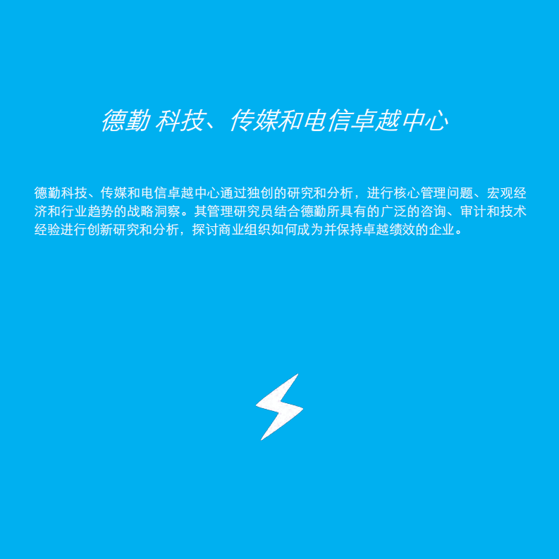 德勤：2016中国移动消费者调研报告.pdf 第2页
