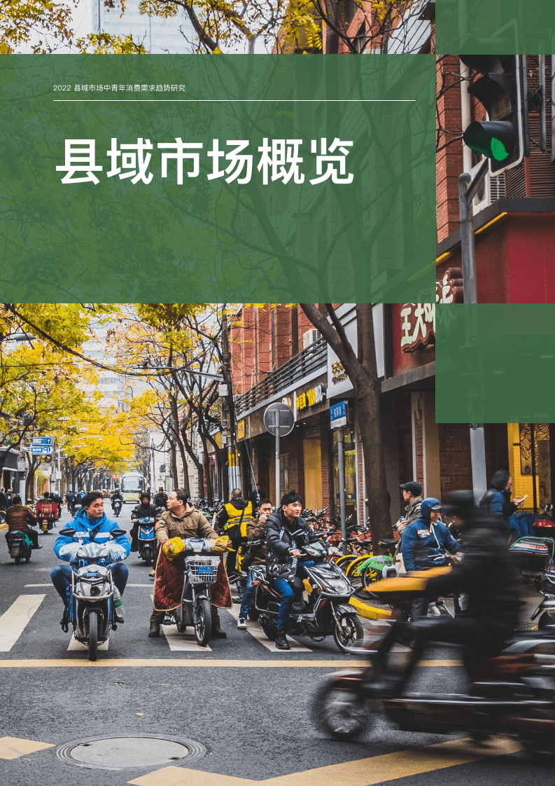 黑蚁资本：2022县域市场中青年消费需求趋势研究报告.pdf 第6页