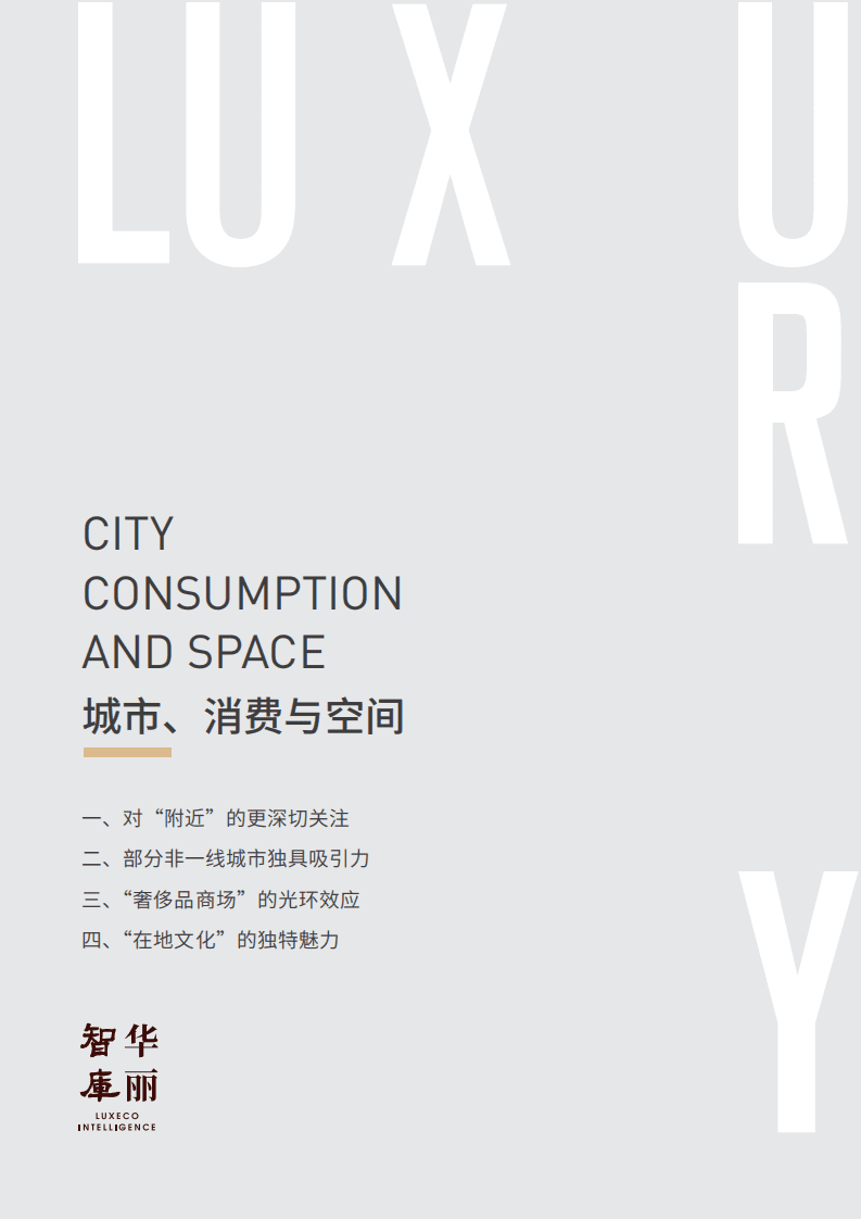 华丽智库：2022中国奢侈品市场研究之&mdash;&mdash;中国消费者共鸣的身心之地在何处？.pdf 第6页