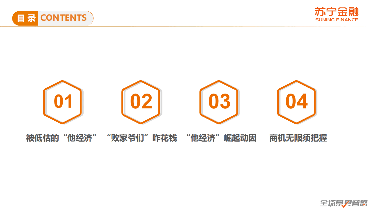 苏宁金融：2020男性群体消费趋势研究报告.pdf 第2页