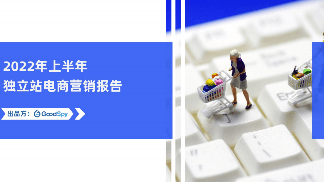GoodSpy：2022年上半年独立站电商营销报告.pdf 第1页