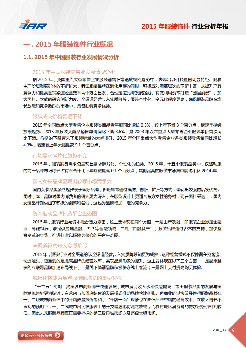 IAR：2015年服装饰件行业分析年报.pdf 第6页