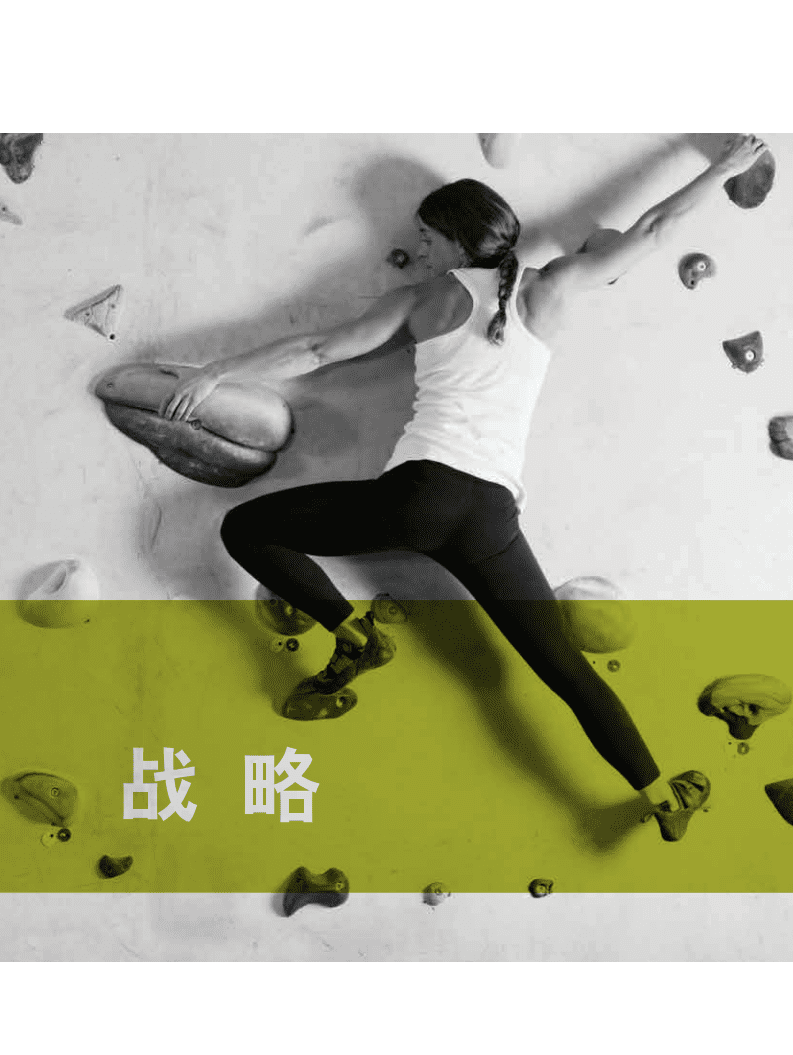 Marsh：2016年MMC网络手册：在数字化经济中增强网络适应力.pdf 第5页