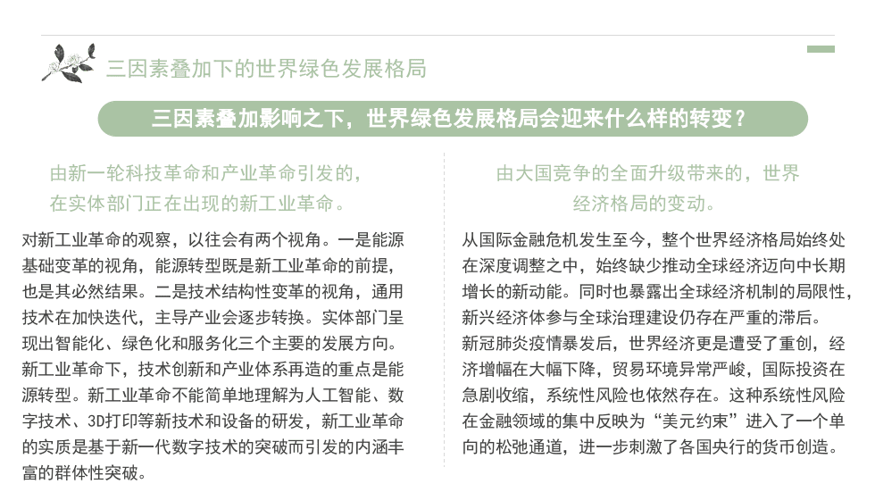 “双碳”目标下绿色发展的机制创新与路径选择.pptx 第5页