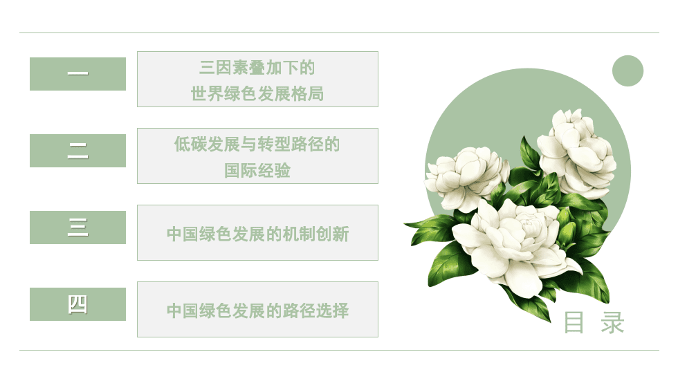 “双碳”目标下绿色发展的机制创新与路径选择.pptx 第2页