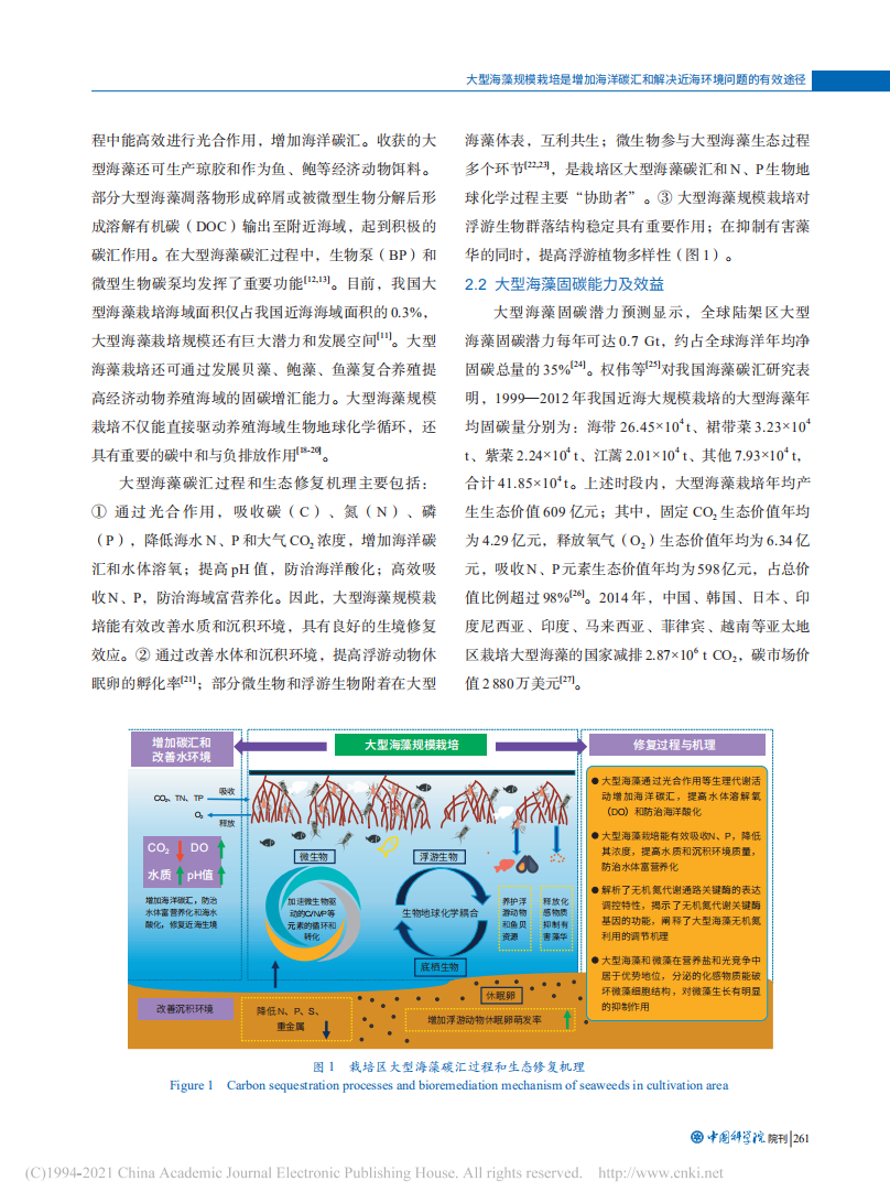 大型海藻规模栽培是增加海洋碳汇和解决近海环境问题的有效途径.pdf 第3页
