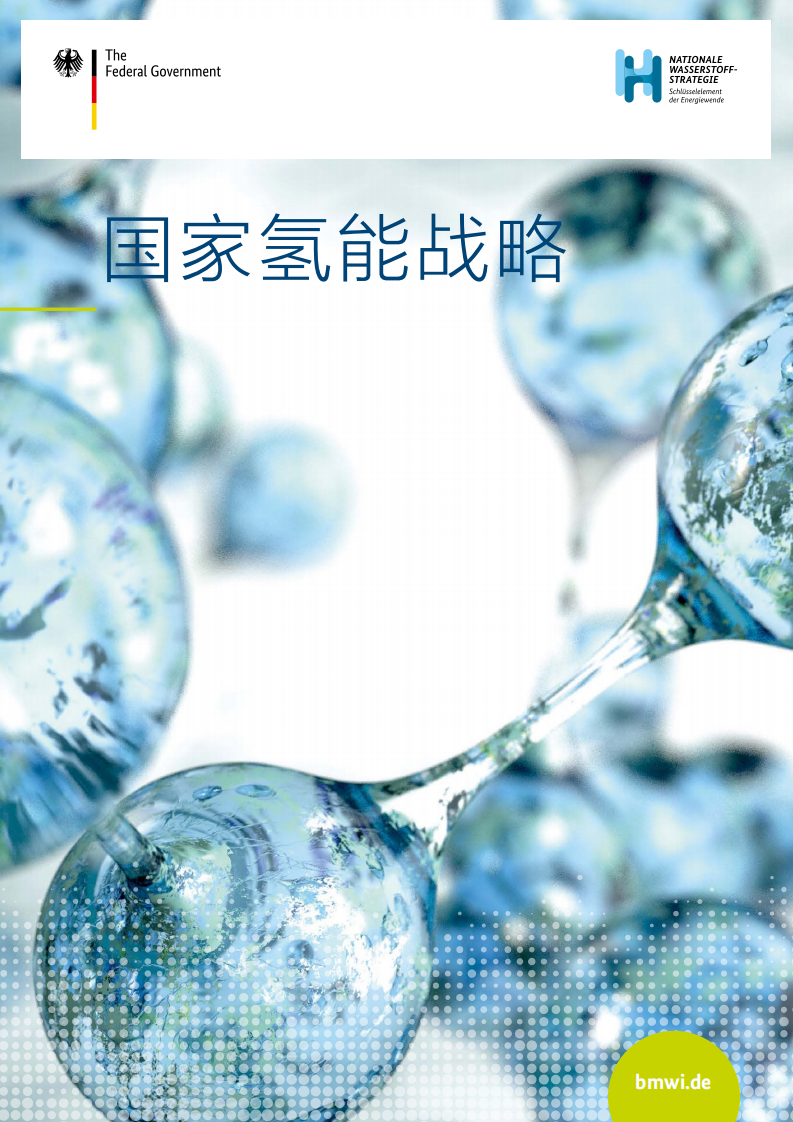 德国《国家氢能战略（中文）》.pdf 第1页