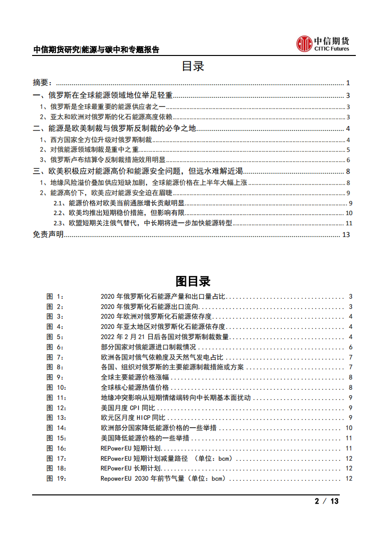 地缘冲突后全球能源变局(一)：全球能源政策如何变化？-中信期货.pdf 第2页