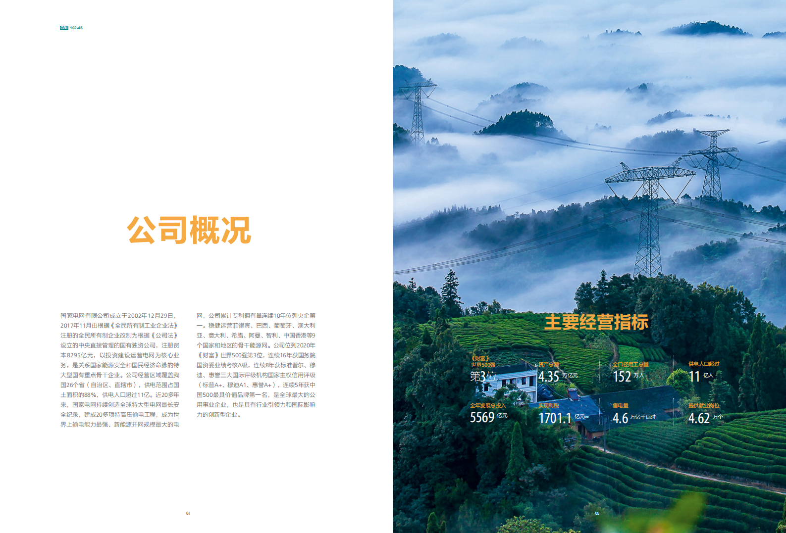 2020国家电网社会责任报告.pdf 第5页