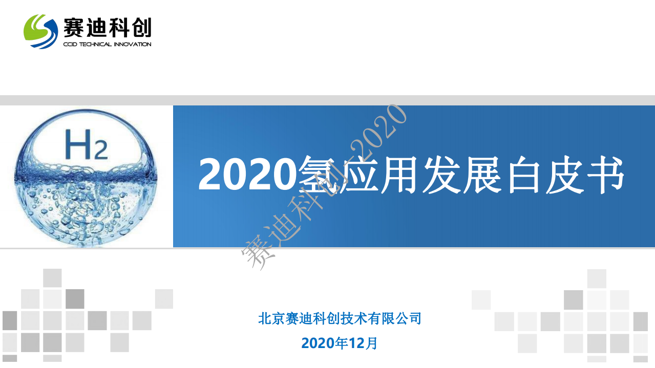2020氢应用发展白皮书.pdf 第1页