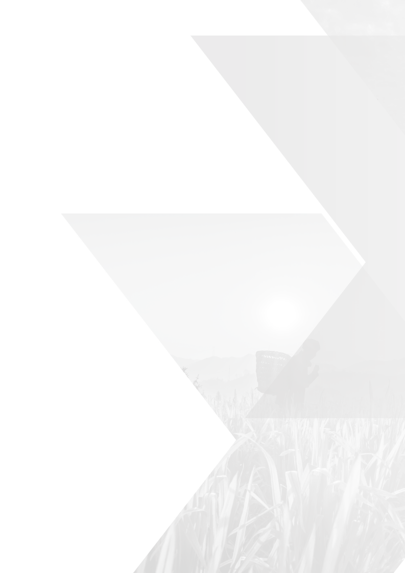 2020中国碳中和综合报告（98页全文版）-能源基金会.pdf 第4页