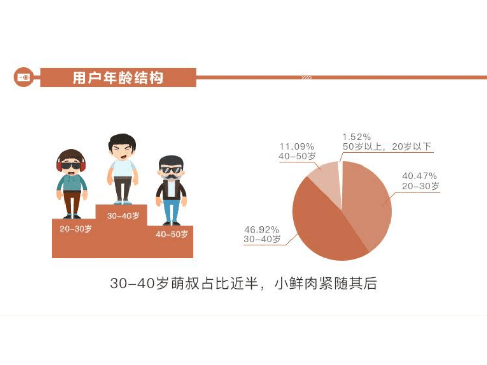360：行车记录仪用户画像报告.pdf 第4页