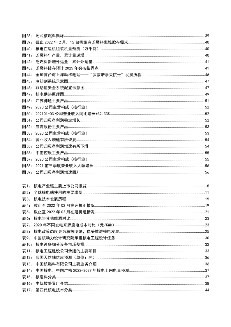 2022年核电行业专题分析报告.pdf 第4页