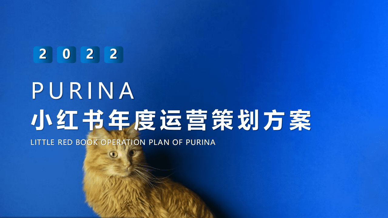 PURINA：2022一线宠物粮食年度小红书传播运营规划方案.pdf 第1页