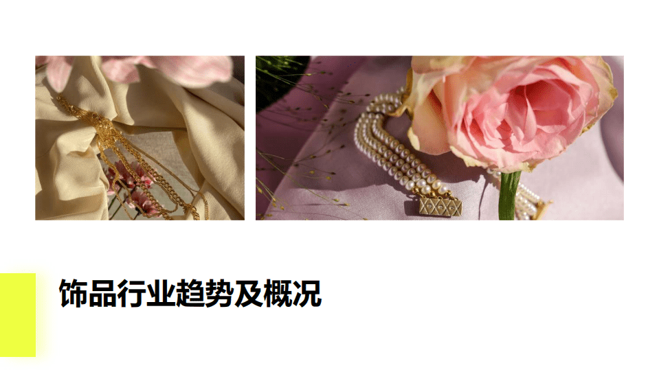 SHOPLINE：2021饰品行业DTC品牌打造白皮书.pdf 第3页