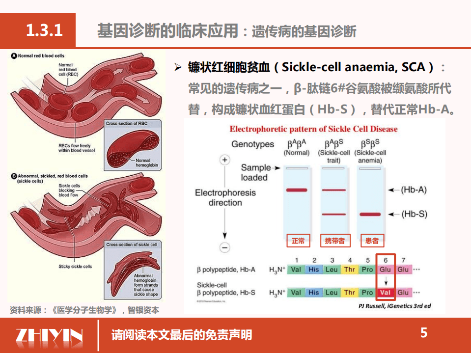智银资本：2019年基因诊断的分子生物学基础.pdf 第5页