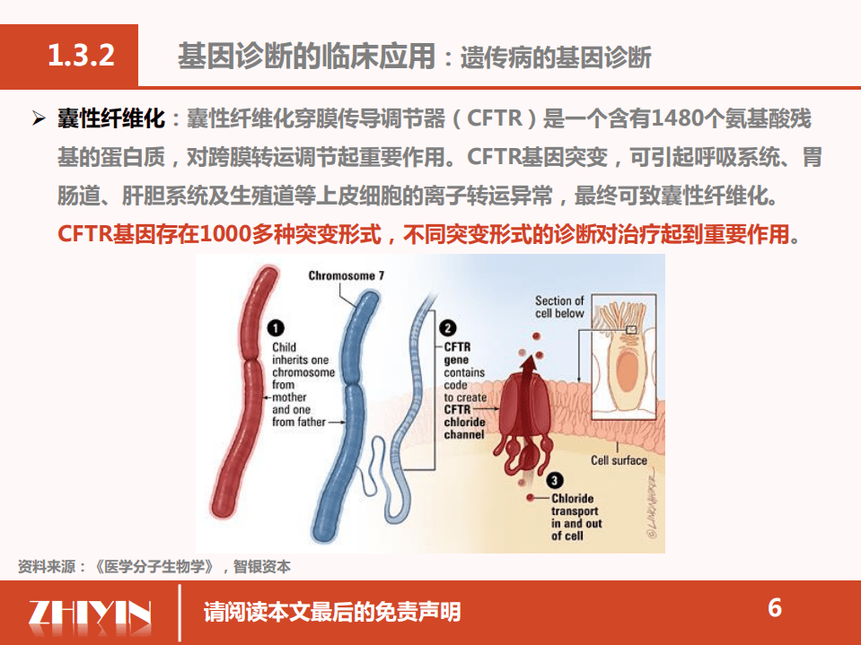 智银资本：2019年基因诊断的分子生物学基础.pdf 第6页