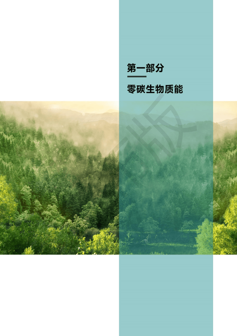 2021零碳生物质能蓝皮书：产业预测与碳减排路径（3060零碳生物质能潜力蓝皮书 - 发布版）.pdf 第6页