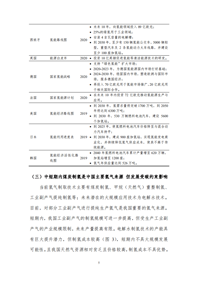2021年能源经济预测与展望研究报告：碳中和背景下煤炭制氢的低碳发展-北京理工大学能源与环境政策研究中心.pdf 第7页