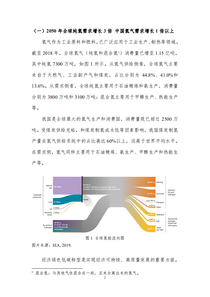 2021年能源经济预测与展望研究报告：碳中和背景下煤炭制氢的低碳发展-北京理工大学能源与环境政策研究中心.pdf 第4页
