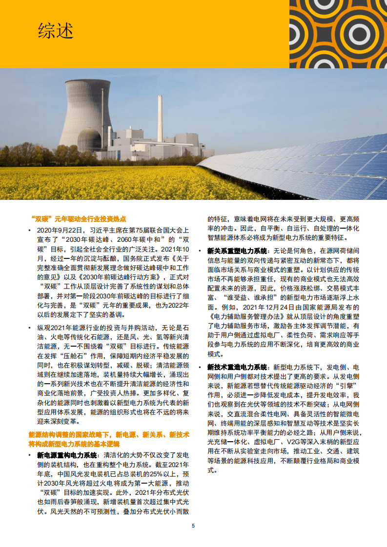 2021年中国能源行业：&ldquo;双碳&rdquo;元年驱动投资热潮，扬帆起航正当时-普华永道.pdf 第6页
