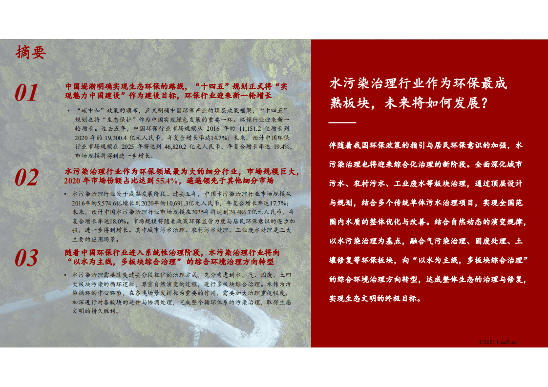 2021年中国水污染治理行业独立市场研究报告.pdf 第2页