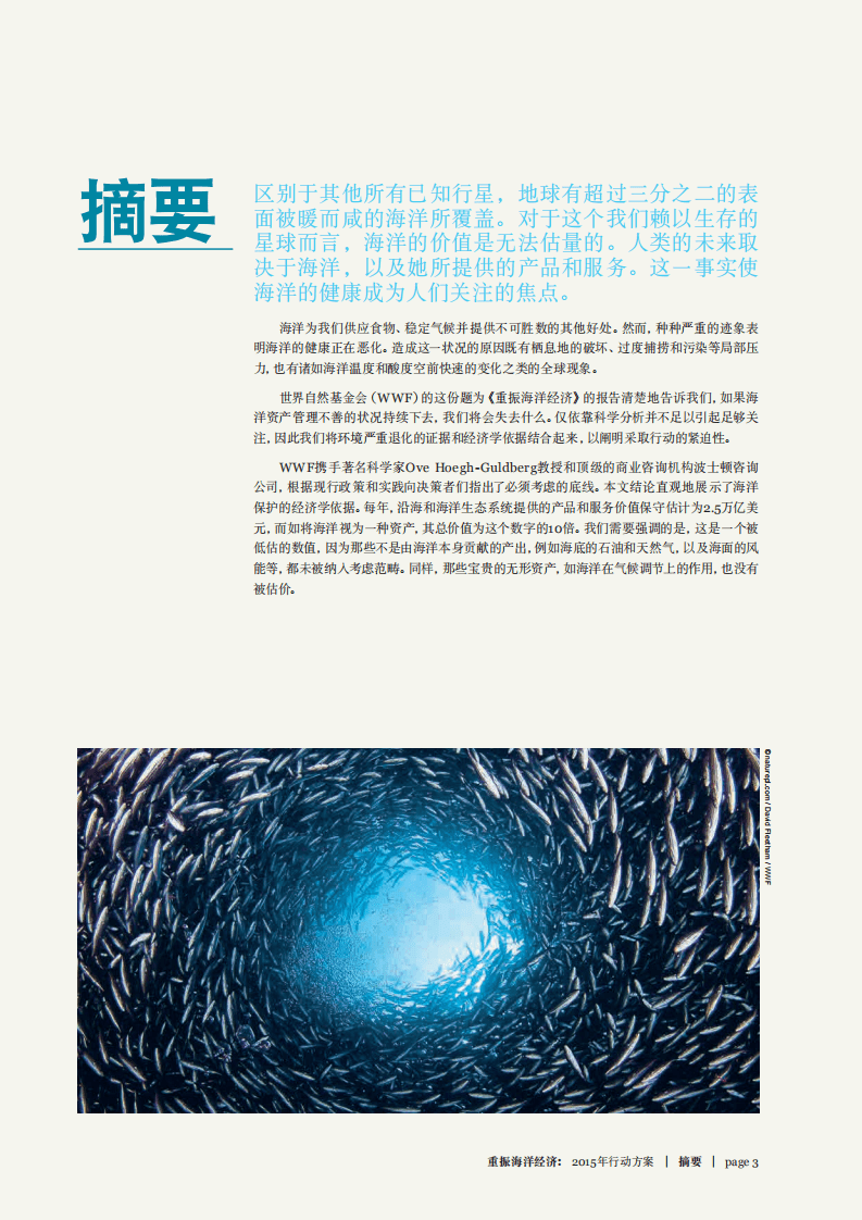 WWF：重振海洋经济2015年行动方案.pdf 第3页