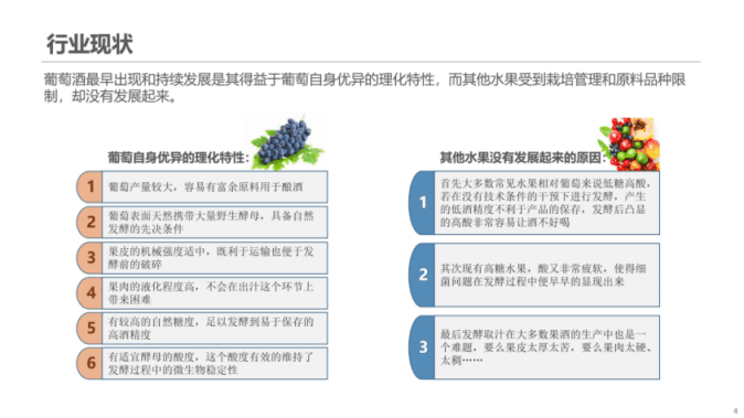 博晓通：2022年果酒行业蓝皮书.pdf 第4页
