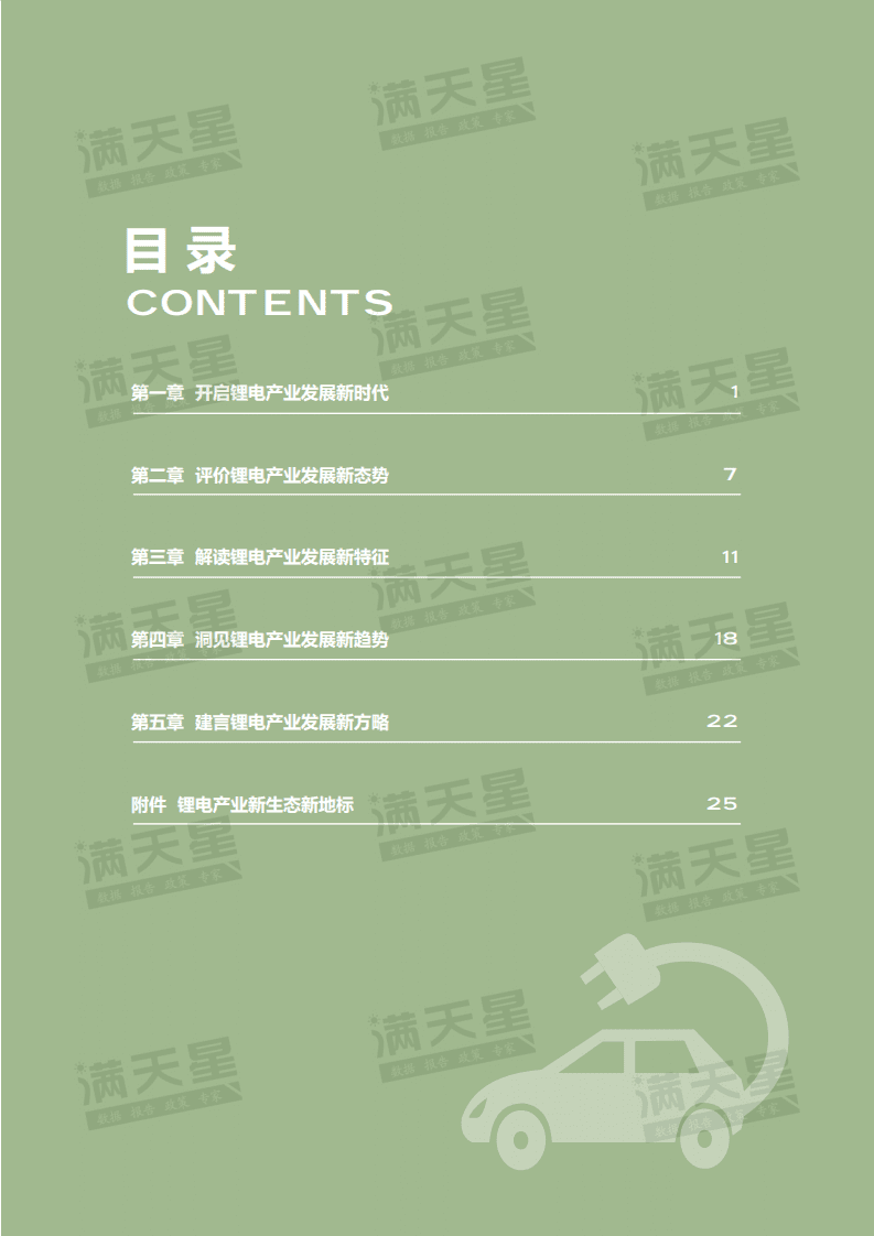 2021中国锂电产业发展指数-赛迪&锂LEC.pdf 第2页