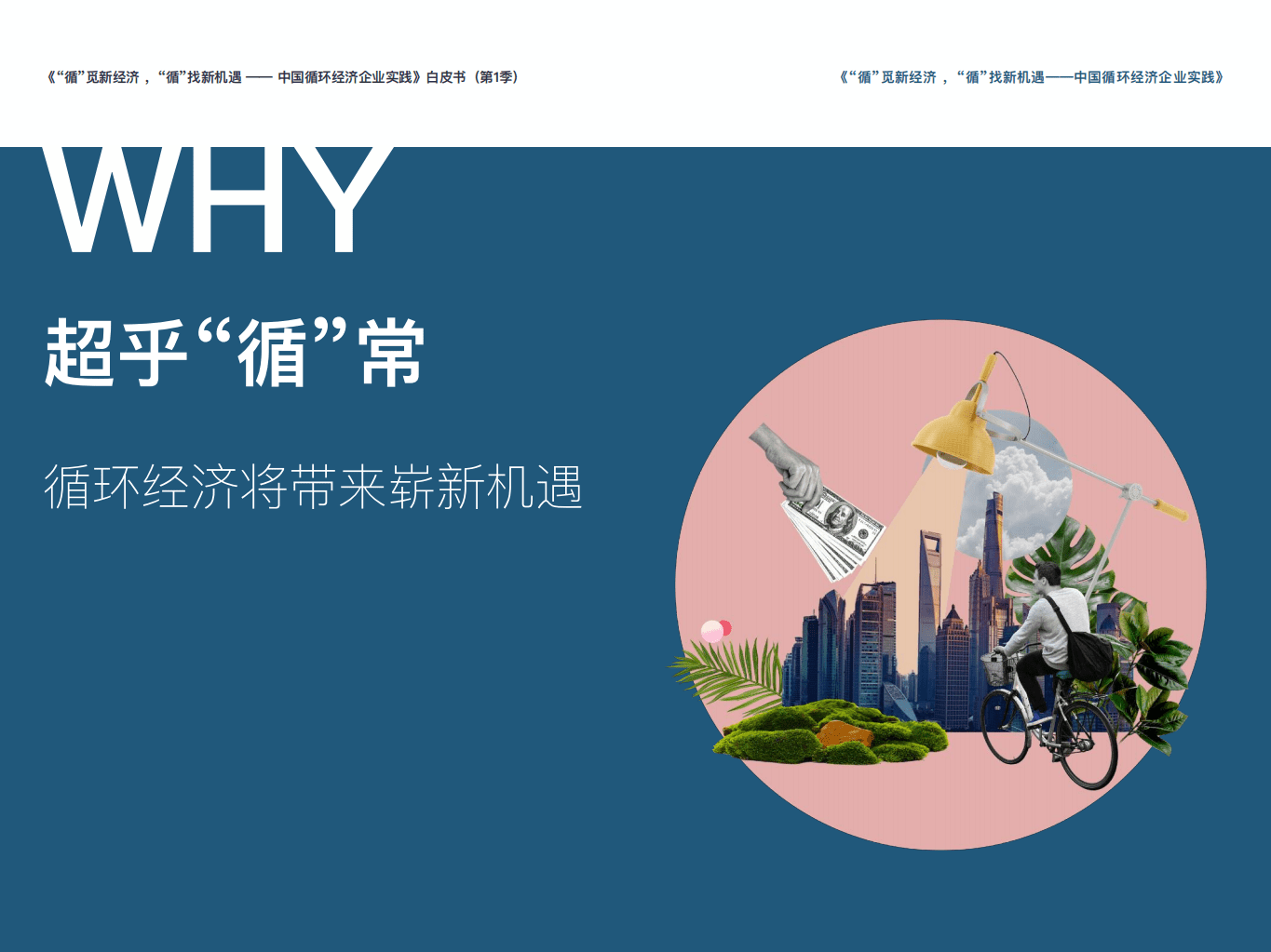 2021中国循环经济企业实践白皮书（第1季）-ROEHL.pdf 第5页