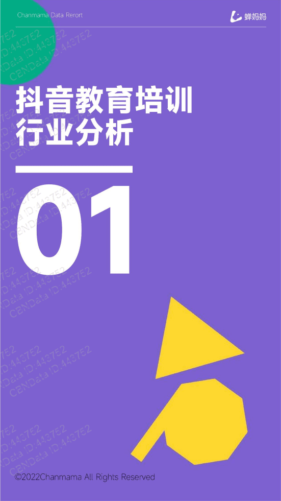 蝉妈妈：2022抖音电商线上教育培训报告.pdf 第4页