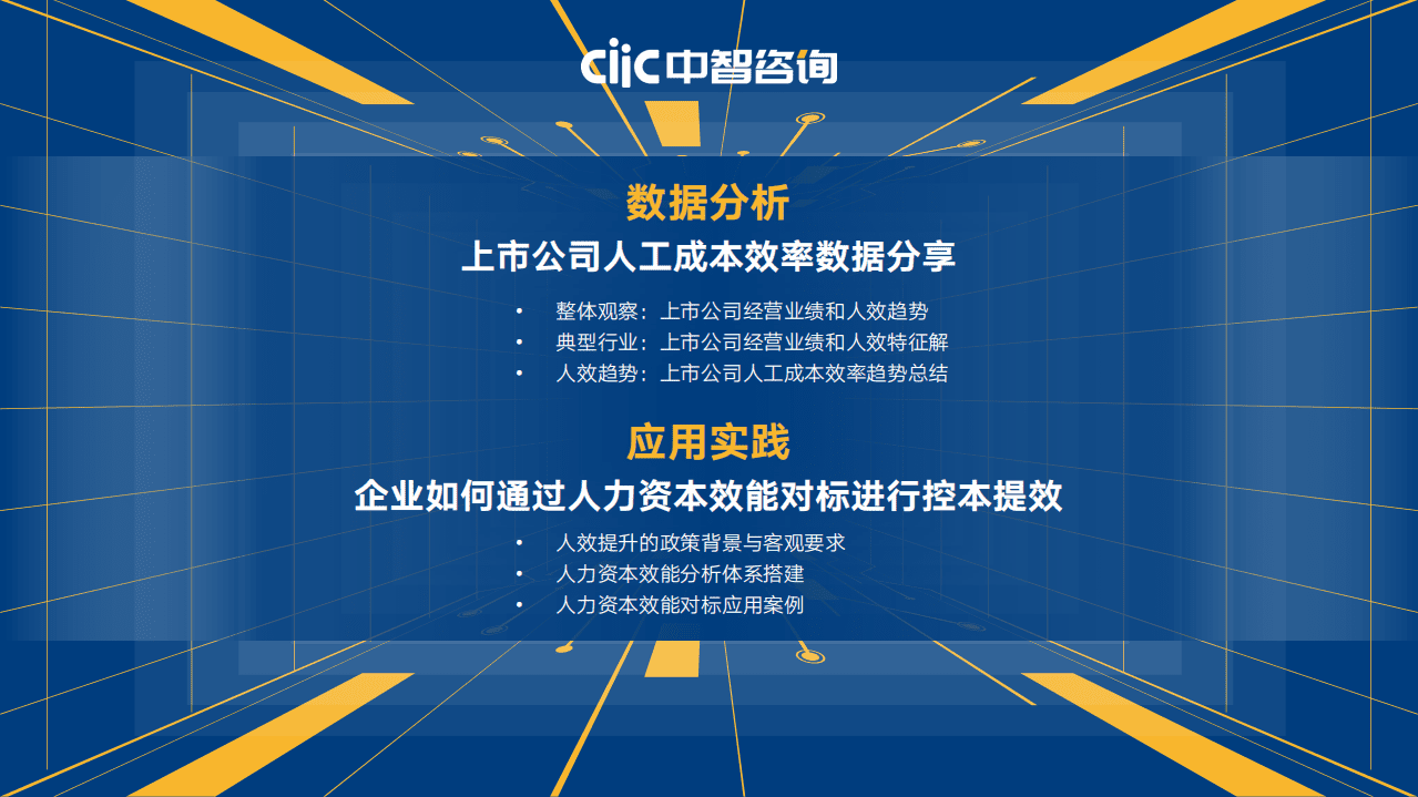 中智咨询：2022年企业人效管理提升指南数据分析&应用实践.pdf 第2页