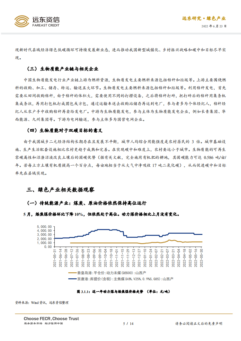 2022年5月中国绿色产业发展运行报告：21项举措，促进新时代新能源高质量发展-远东资信.pdf 第5页