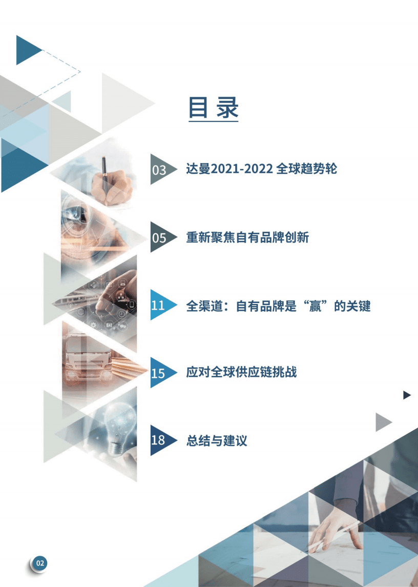 达曼：2022年全球自有品牌趋势报告.pdf 第2页