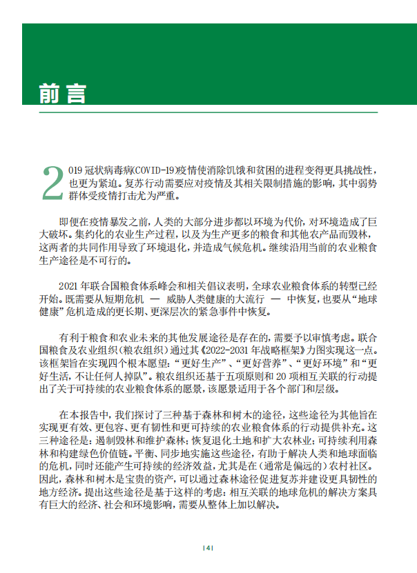 2022年世界森林状况：概要-联合国粮农组织.pdf 第4页
