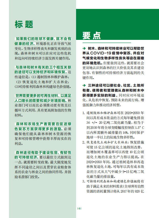 2022年世界森林状况：概要-联合国粮农组织.pdf 第6页