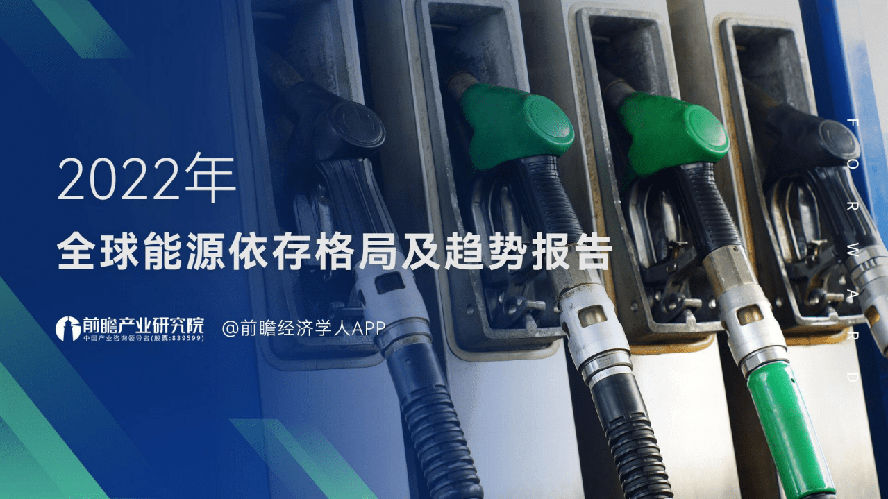 2022年全球能源依存格局及趋势报告.pdf 第1页