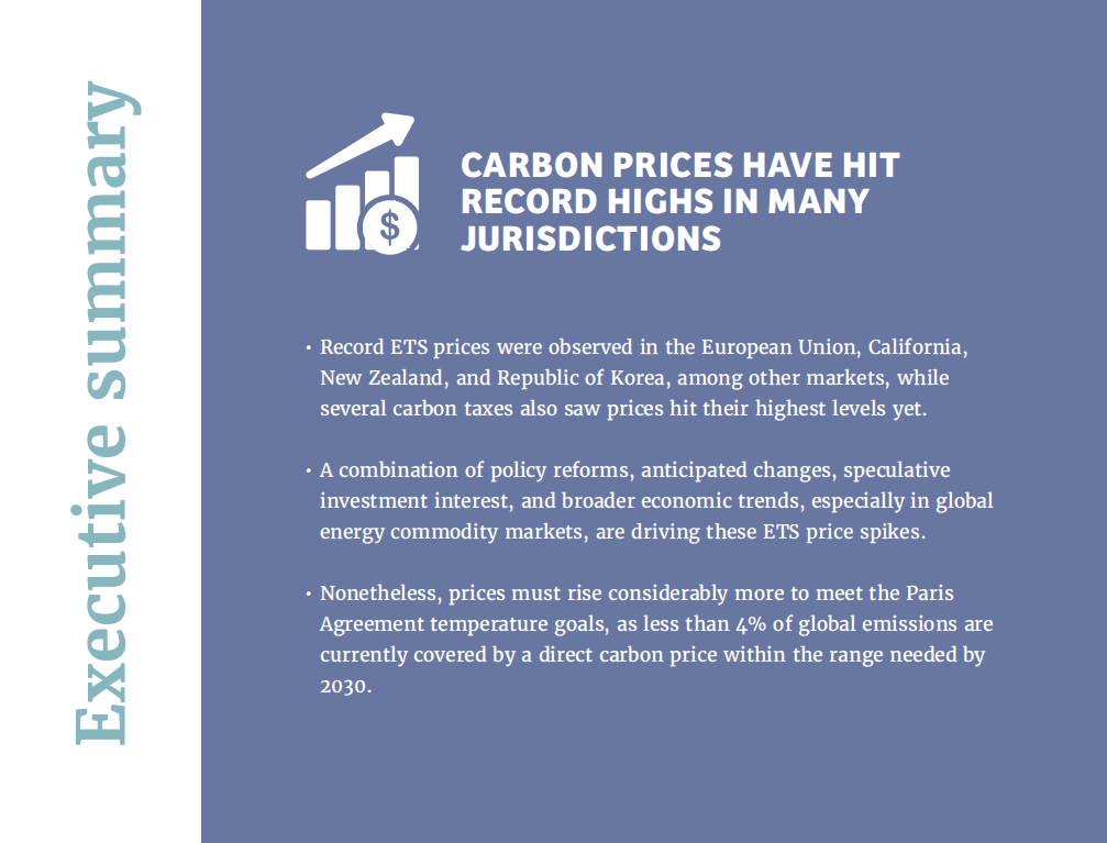 2022年碳定价的现状与趋势英文摘要.pdf 第7页