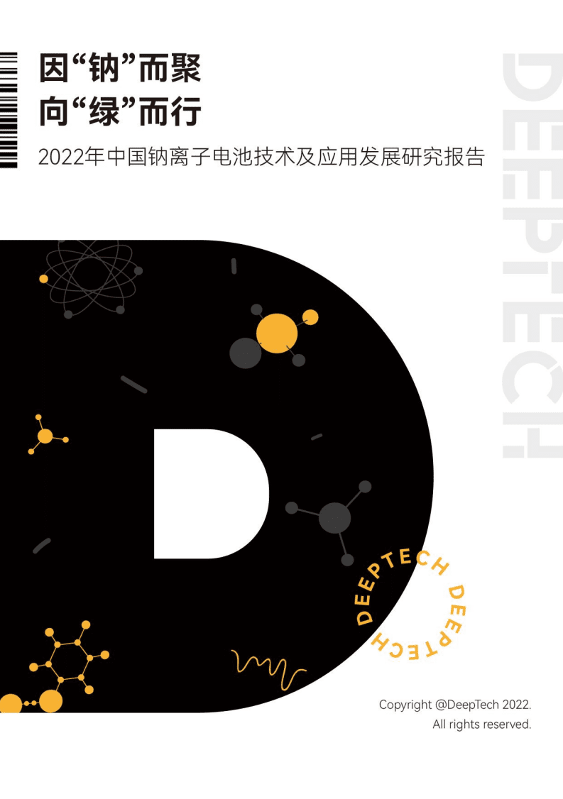 2022年中国钠离子电池技术及应用发展研究报告-DeepTech.pdf 第1页