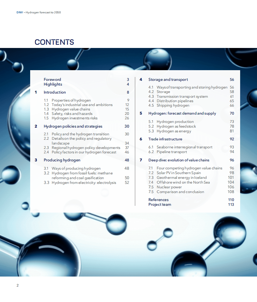2050年氢气预测（英）-DNV.pdf 第2页