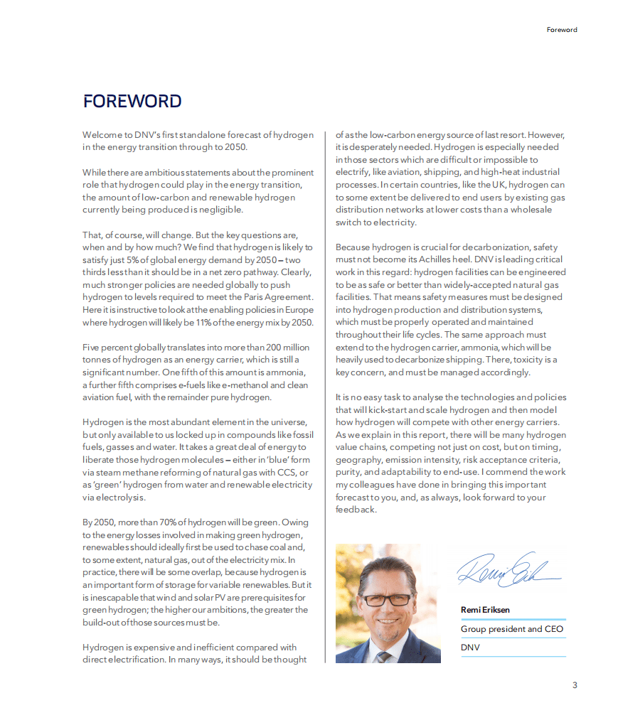 2050年氢气预测（英）-DNV.pdf 第3页