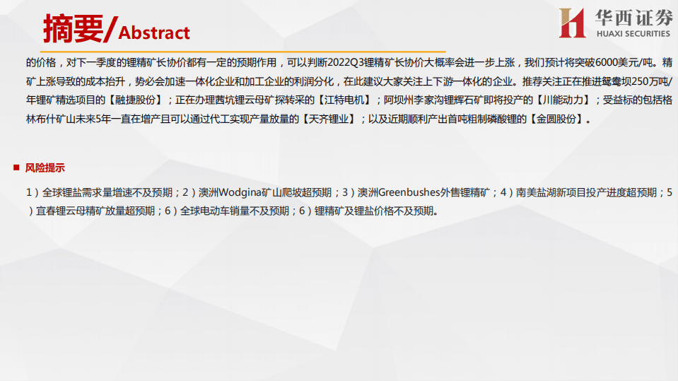海外锂资源企业近况总结，近忧与远虑同在-华西证券.pdf 第5页