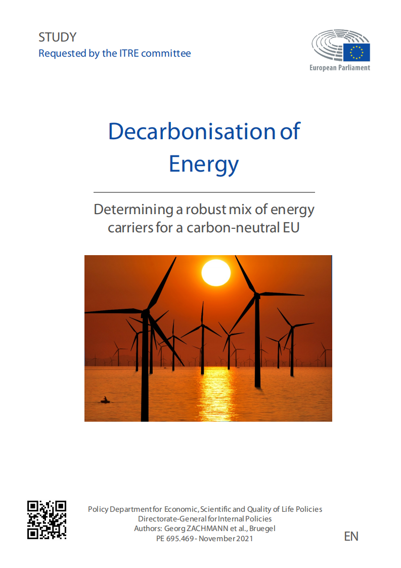 能源脱碳：为欧盟碳中和确定稳健的能源载体组合（英）-欧洲议会.pdf 第1页