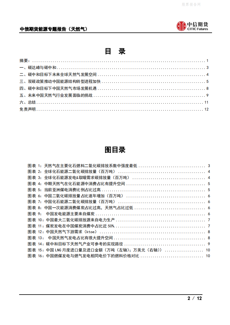 能源专题报告(天然气)：双碳目标下中国天然气发展的机遇与挑战-中信期货.pdf 第2页