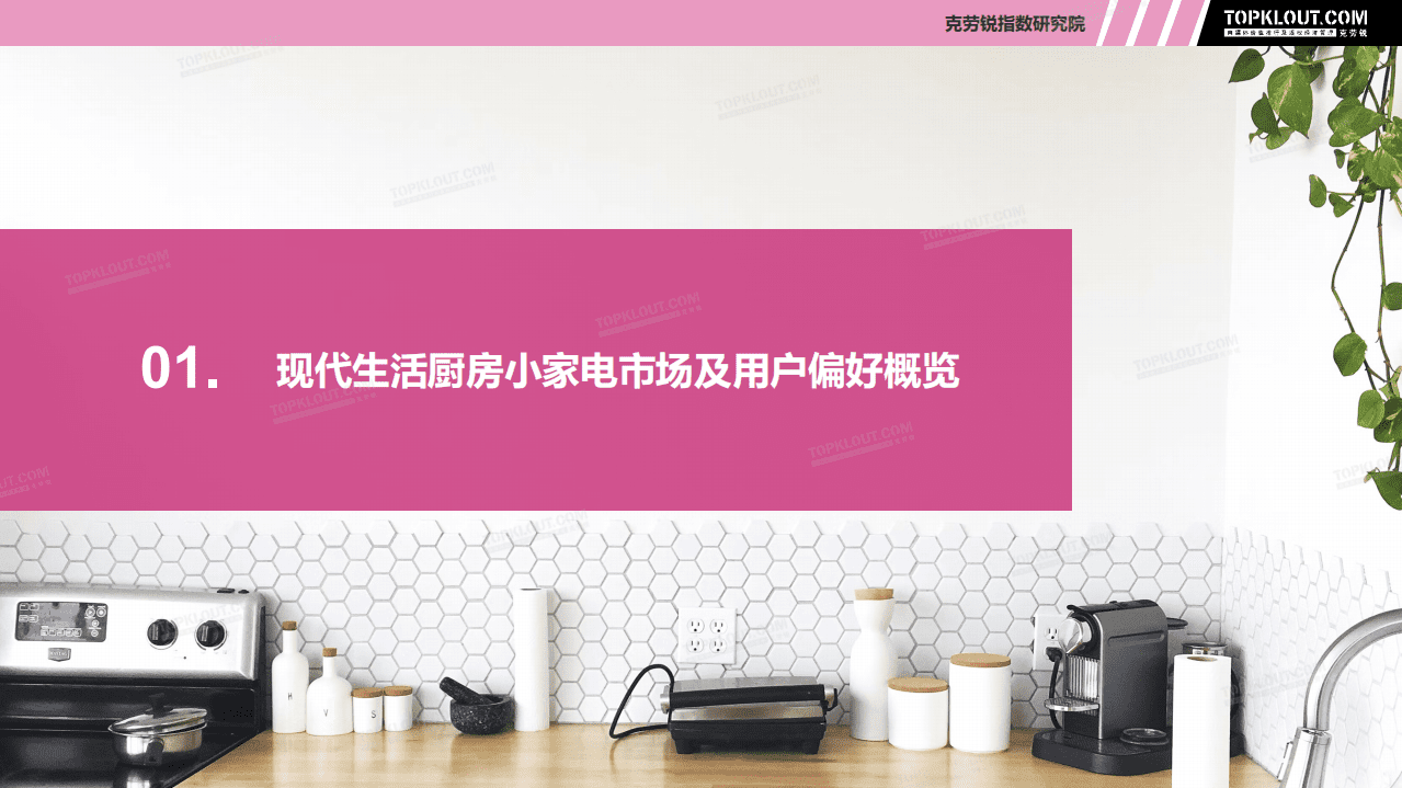 克劳锐：2022现代生活厨房小家电社交营销观察报告.pdf 第5页